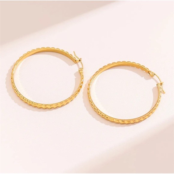 Round Planting Stainless Steel 18K gold plated Hoop‎ Earrings - Picture 1 of 3